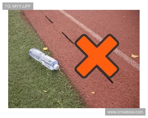 lota体育分析系统：优化体育赛事管理与观众体验的全方位数据分析系统